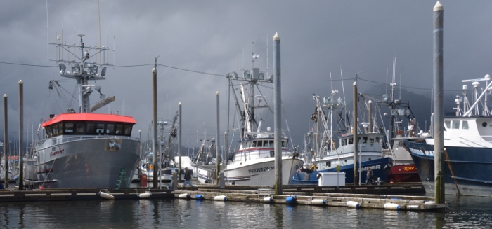 harbor scene